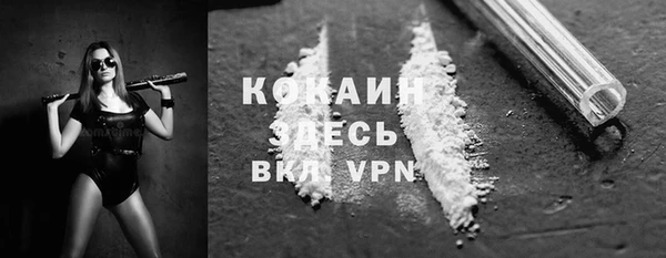 соль ск Абаза
