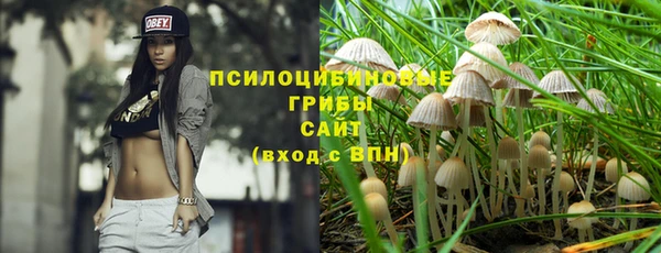 соль ск Абаза