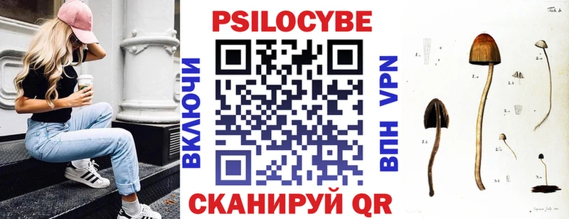 блэк спрут сайт  Весьегонск  Галлюциногенные грибы мицелий 